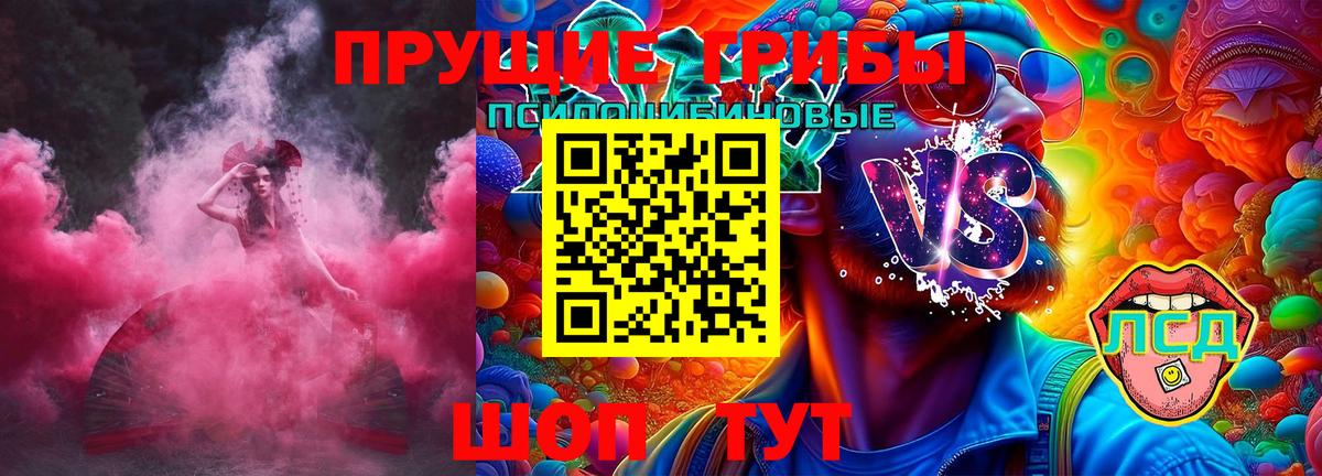 Галлюциногенные грибы Psilocybine cubensis Ярославль