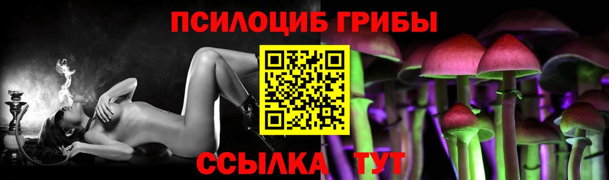 Ярославль  Псилоцибиновые грибы прущие грибы  Вход с VPN 